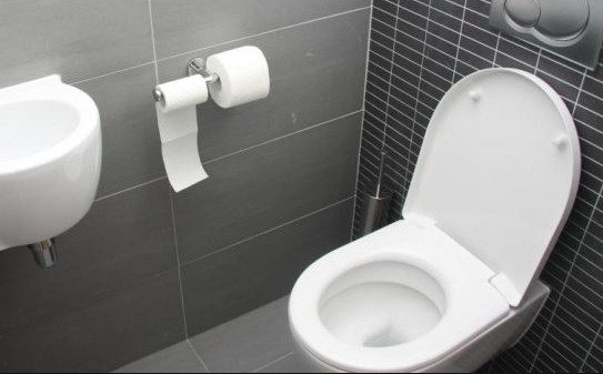 Учёные назвали основную опасность общественных туалетов