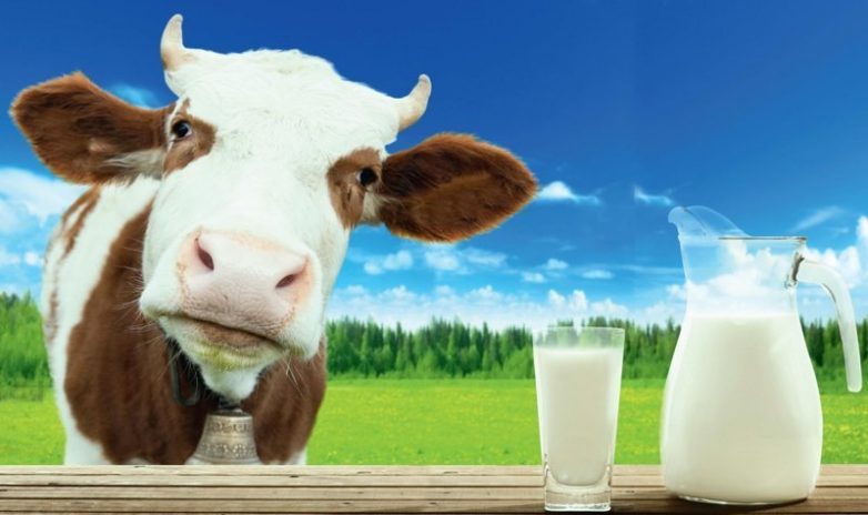 10 продуктов с большим содержанием кальция, чем в молоке