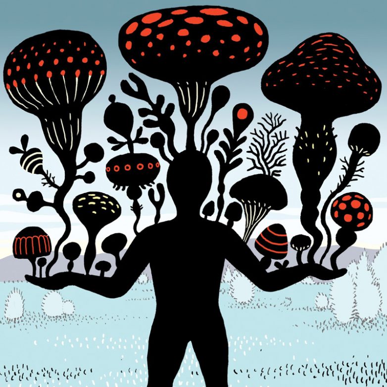 Как очистить организм от плесневых грибов