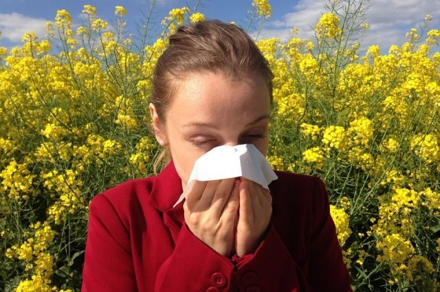 Что такое сенная лихорадка и как ее распознать
