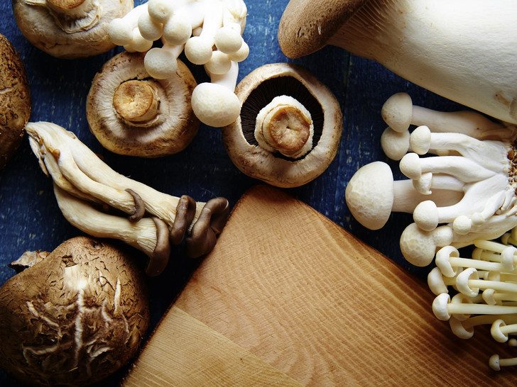 Какие грибы самые полезные