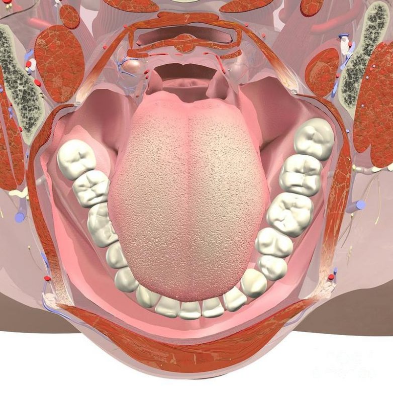 Проблемы в полости рта, за которыми скрываются другие заболевания