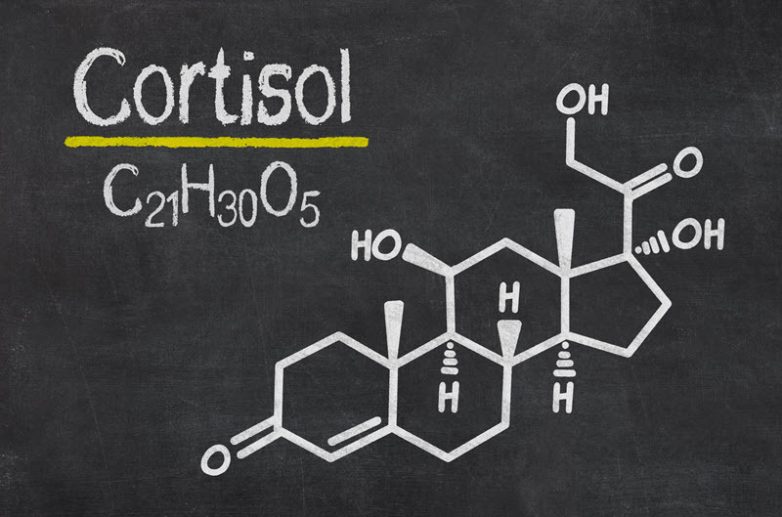 Причины низкого кортизола в организме