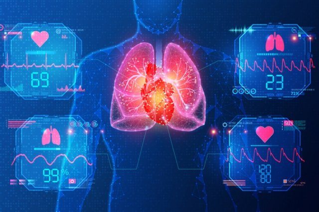 Учёные создали датчик для выявления сердечных заболеваний