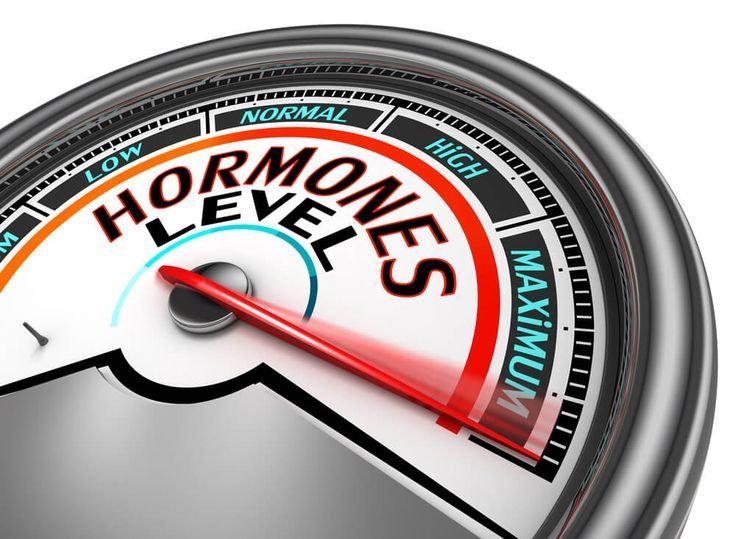 Расшифровка результатов анализа на половые гормоны