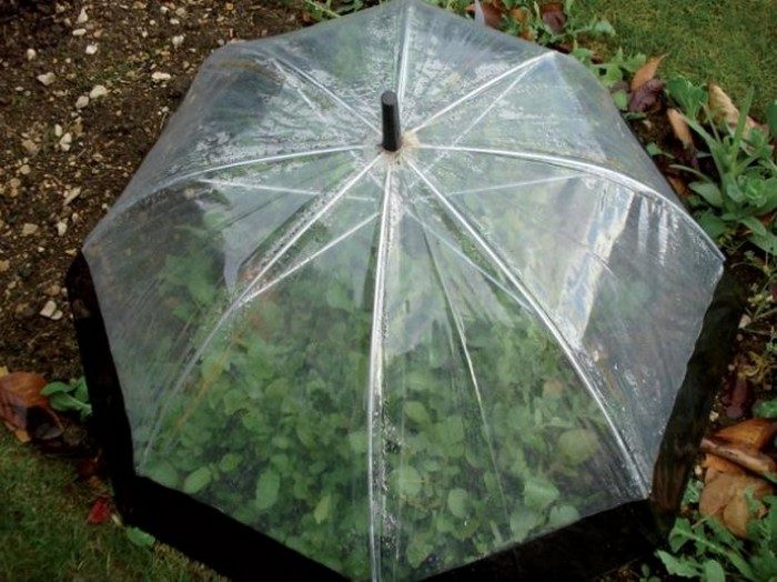 Как можно интересно использовать старый зонтик