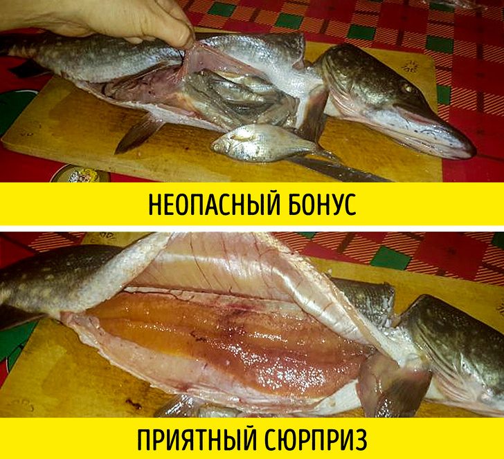 Рыба с прилавка: брать или не брать?