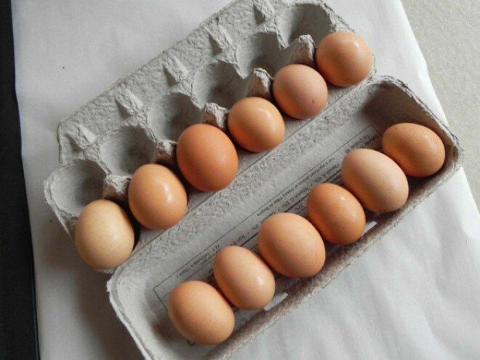 Китайцы начали подделывать куриные яйца
