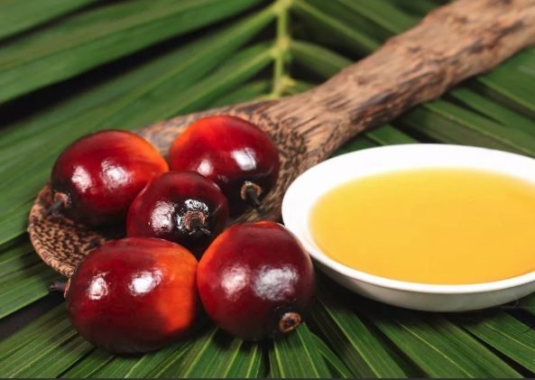 Как определить, что продукт содержит пальмовое масло?