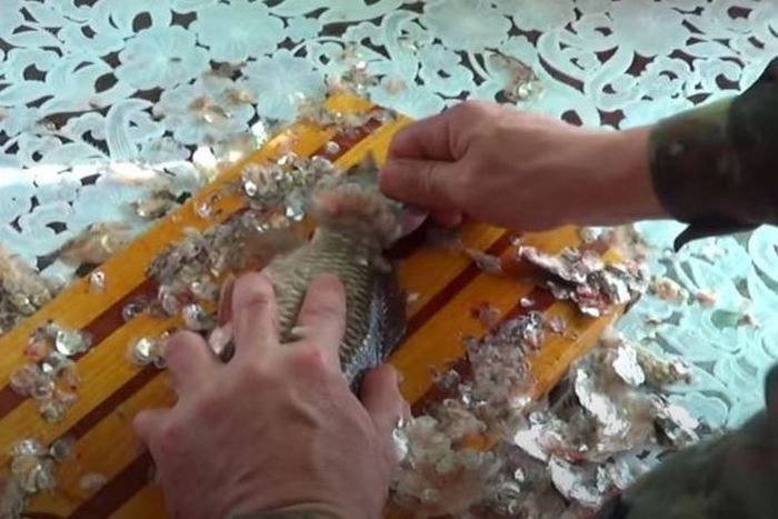 Можно ли почистить рыбу без ножа?