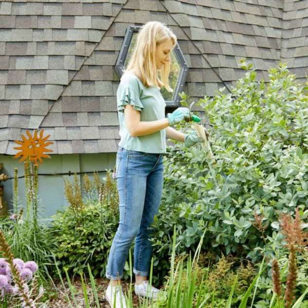 10 советов бывалых садовников