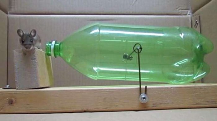 6 необычных способов использования обычной пластиковой бутылки