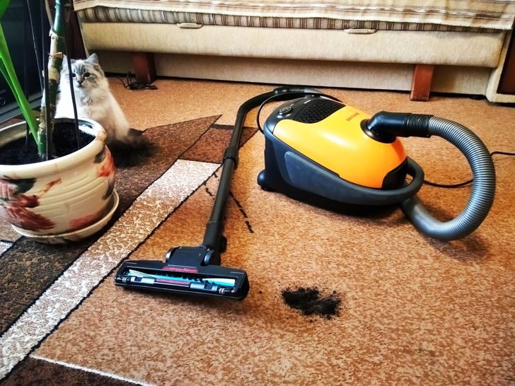 13 вещей — распространителей пыли в квартире