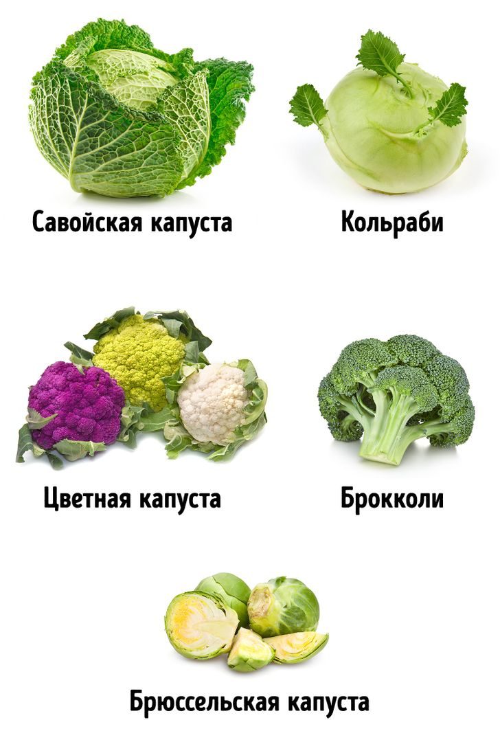 Как правильно выбирать разные овощи: подробная памятка