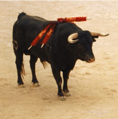 Словарик инвестора: что такое «бычий рынок»