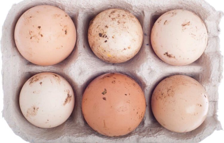 СО или С1? Чем различаются яйца разной маркировки и как их правильно выбирать