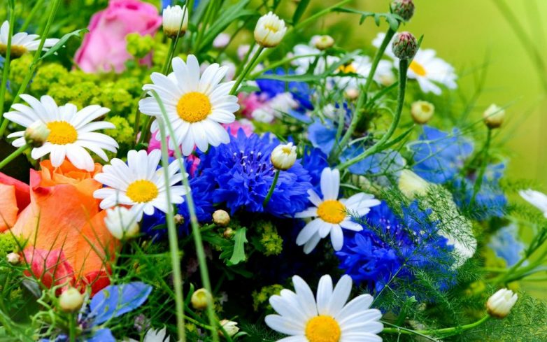Какие цветы надо поставить в вазу, чтобы привлечь благополучие в дом?