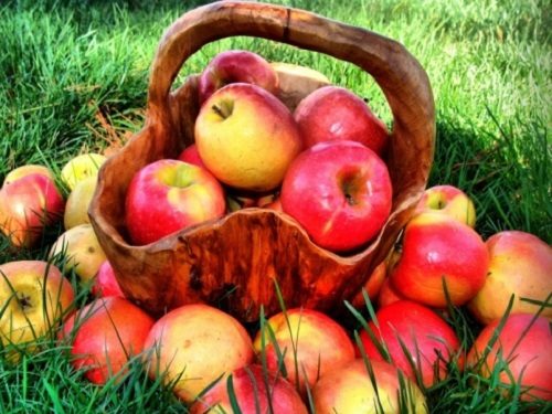 Народные приметы на яблочный спас