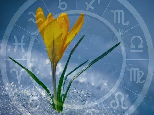 5 вещей, которые нужно сделать каждому знаку зодиака этой весной