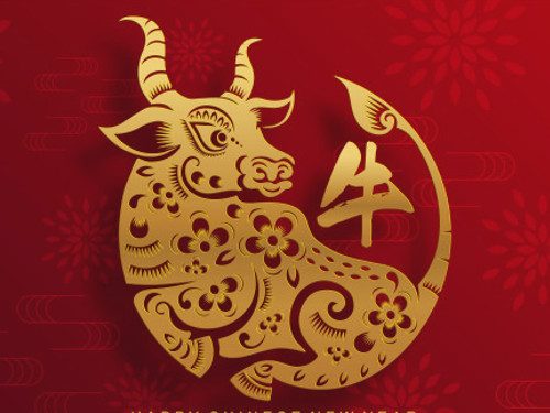 Какого числа китайский Новый год в 2021 году и как нужно встречать год Быка?