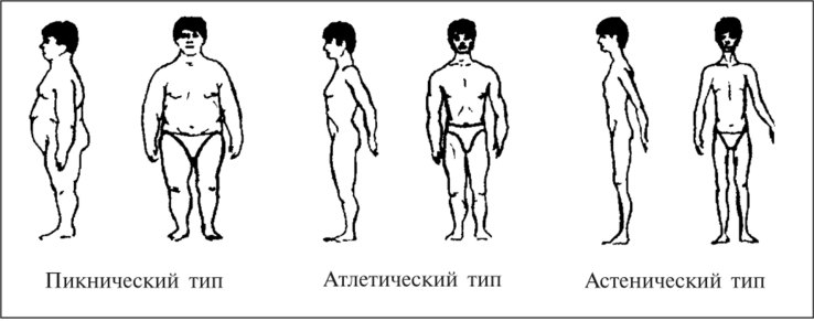 Тест Кречмера: ваш характер по типу телосложения