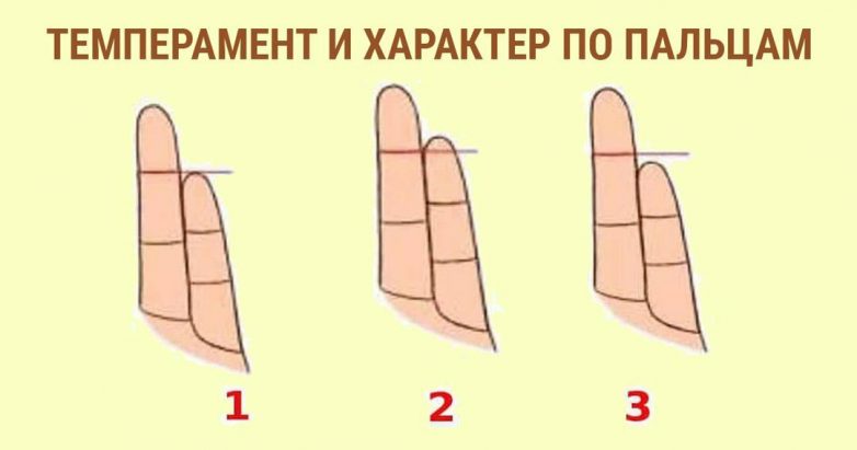 Как определить темперамент и характер человека по пальцам?