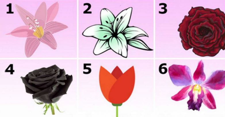 Тест - картинка: выбранный цветок расскажет о самых тайных секретах вашей личности
