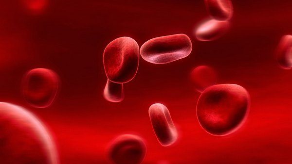 Необычные факты о человеческой крови