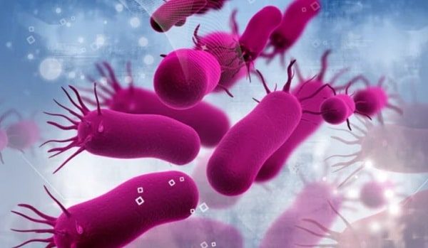 Режим зомби: новое состояние бактерий