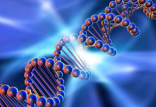 10 необычных генов: на что они запрограммированы