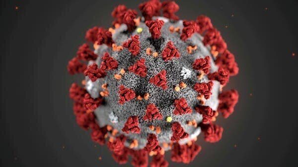 Неужели иммунитет от коронавируса будет коротким?
