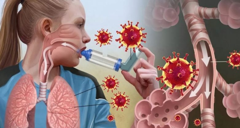 Бронхиальная астма не отягощает течение коронавируса