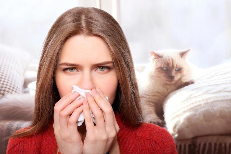 Существует ли профилактика аллергии на кошек