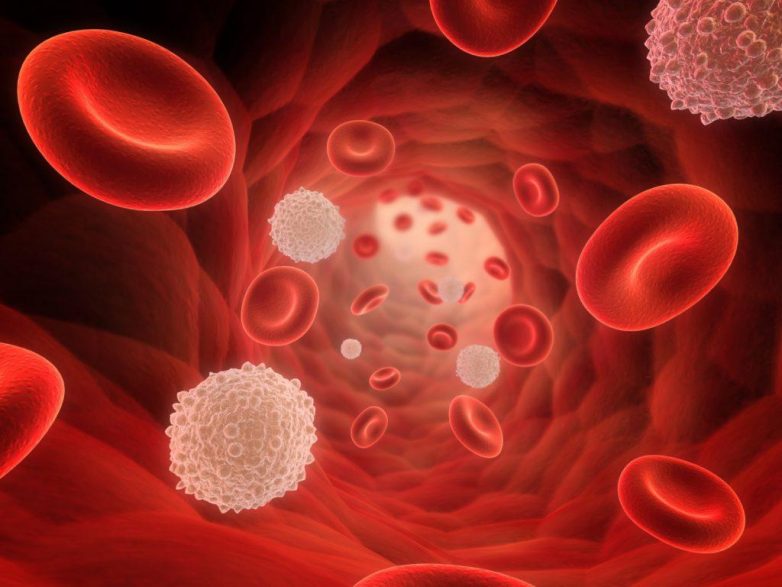 Почему повышаются лейкоциты в крови и когда это опасно?