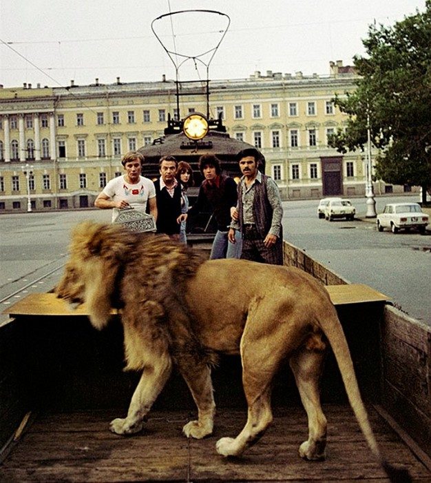 Как снимали животных в советских фильмах