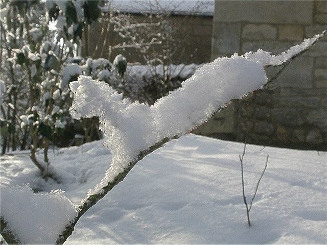 Ни один мастер не вылепит из снега то, что может сделать природа