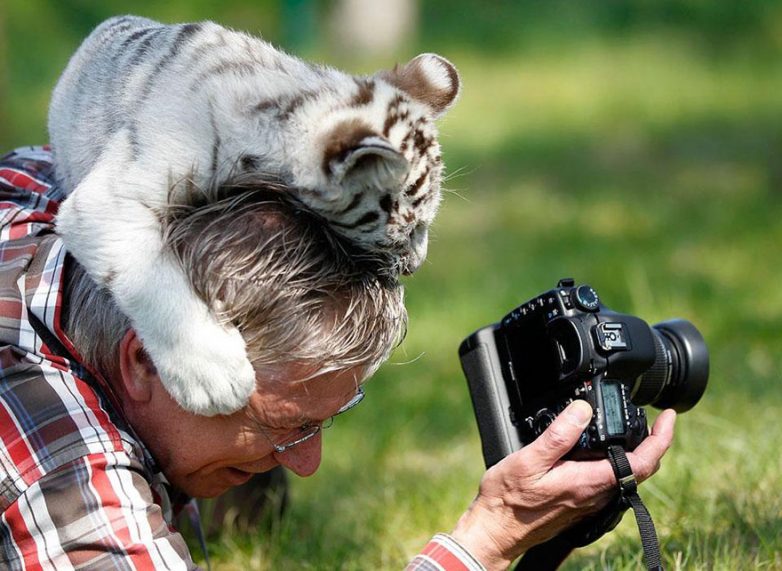 Фотограф дикой природы - лучшая работа в мире