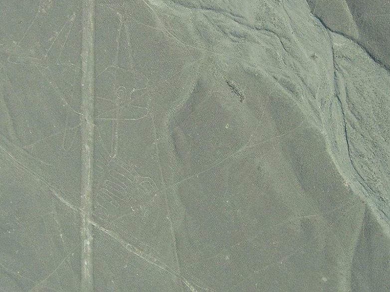 Беспилотник NASA сделал новые снимки загадочных геоглифов Наски