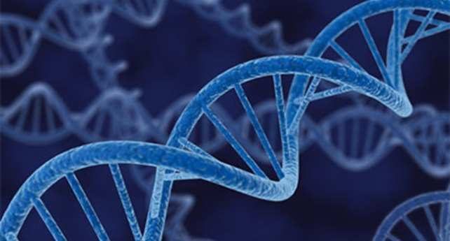 25 удивительных фактов о ДНК, которые помогут лучше понять себя