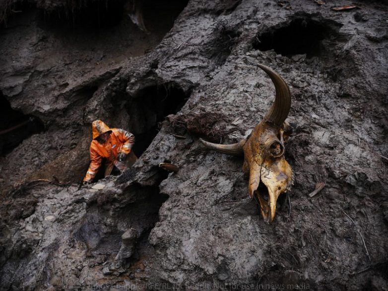 История о сибирских охотниках на мамонтовые бивни. Как они богатеют, спиваются и умирают.