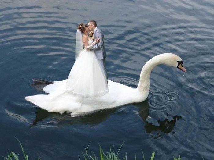 Суровый свадебный фотошоп