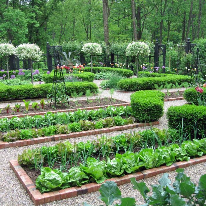 Эти идеальные огороды вдохновят вас навести красоту на своем участке