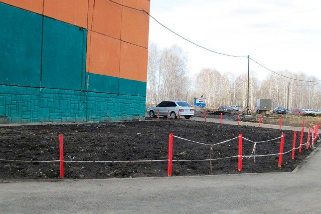 Как программист из Челябинска смог превратить унылый двор в лучший двор района