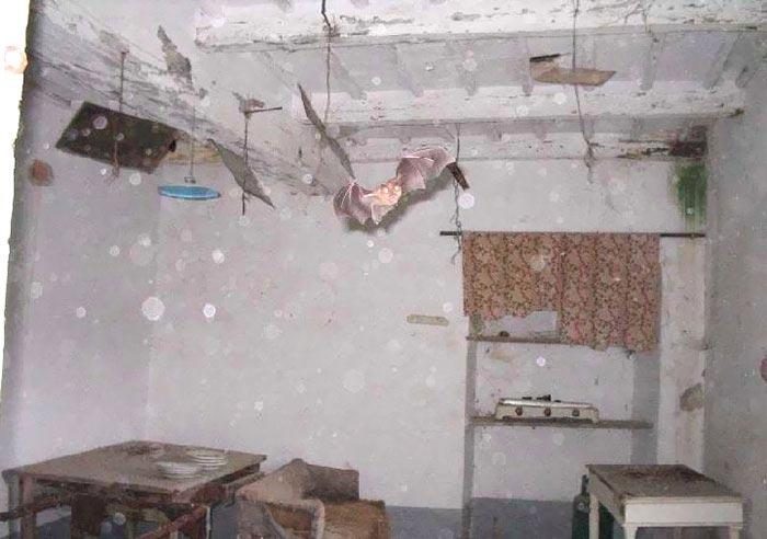 Агенты по недвижимости показывают снимки домов, которые явятся вам в ночных кошмарах