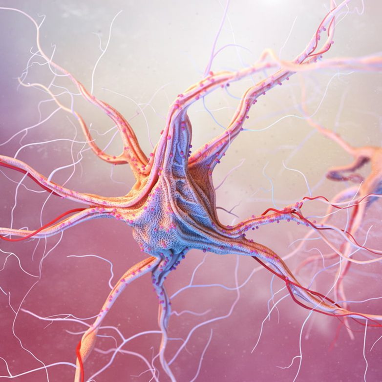 30 удивительных фактов о нашей нервной системе