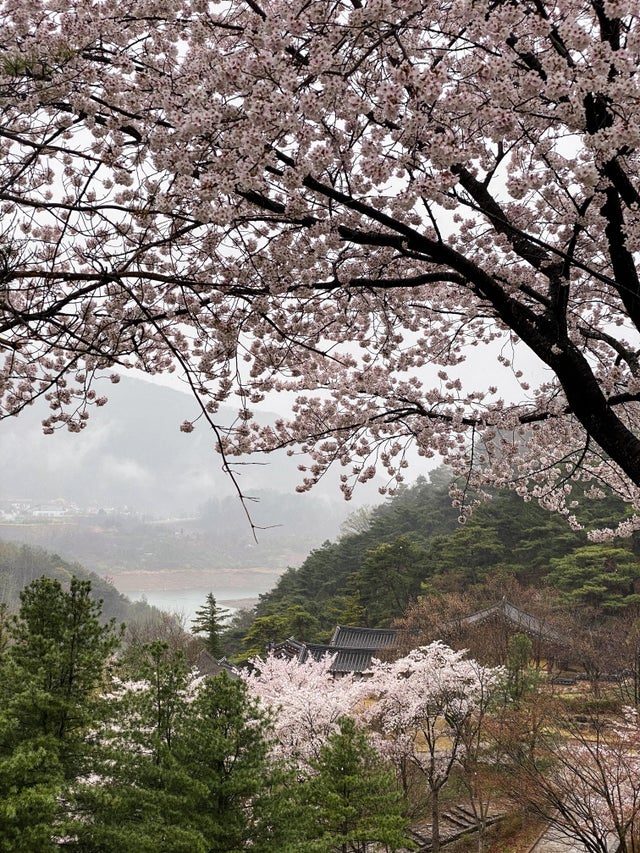 20 необычных впечатлений, которые туристы привезли с собой из далёкой Южной Кореи