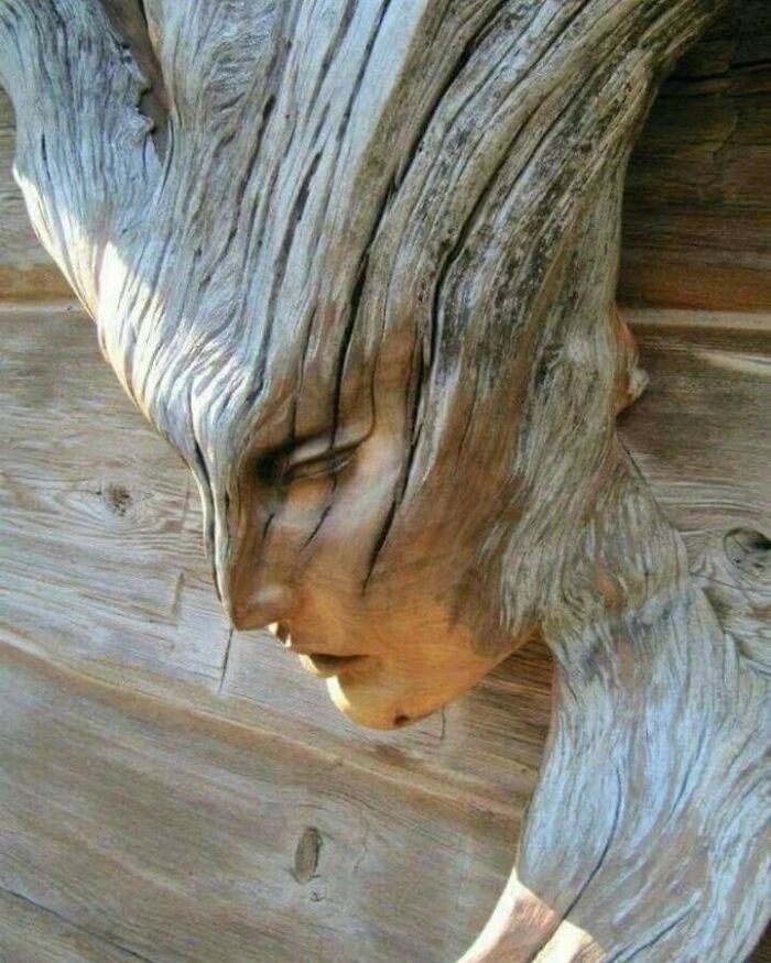50 шедевров деревянного искусства