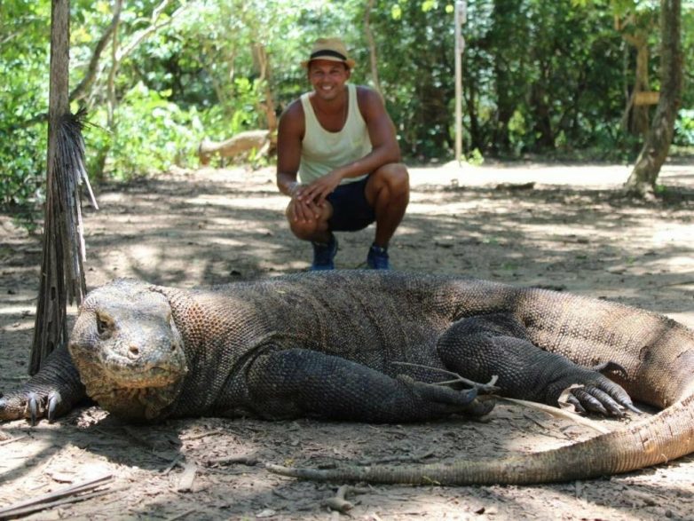 8 самых больших животных, когда-либо пойманных людьми