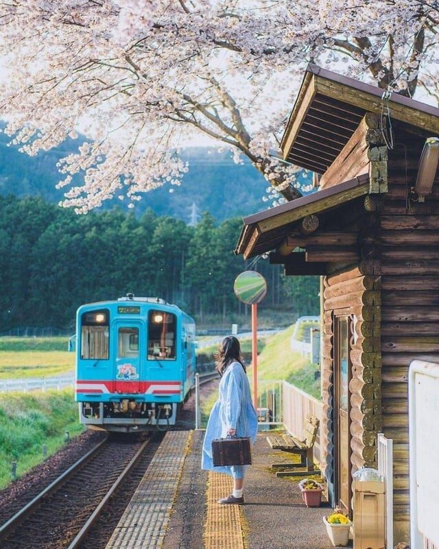 14 занимательных снимков из Японии, которые рассказывают о стране больше, чем путеводители