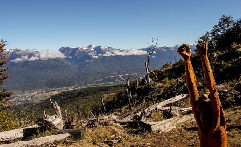Лес скульптур, вдохнувших новую жизнь в мёртвые деревья